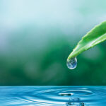 Alles over wateropvang, waterberging en waterinfiltratie
