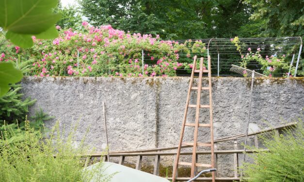 Houten tuinladders